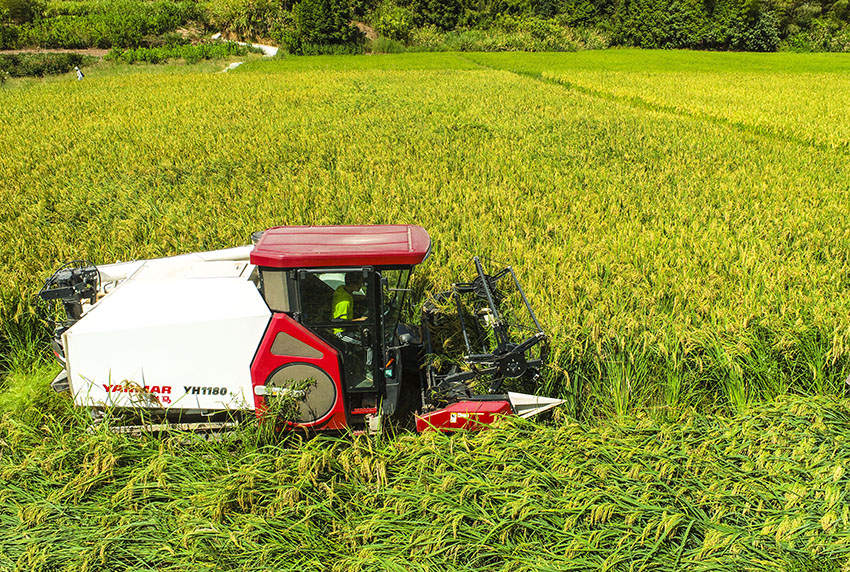 ??????? ???????: ????? ??????? ???? ????? ????