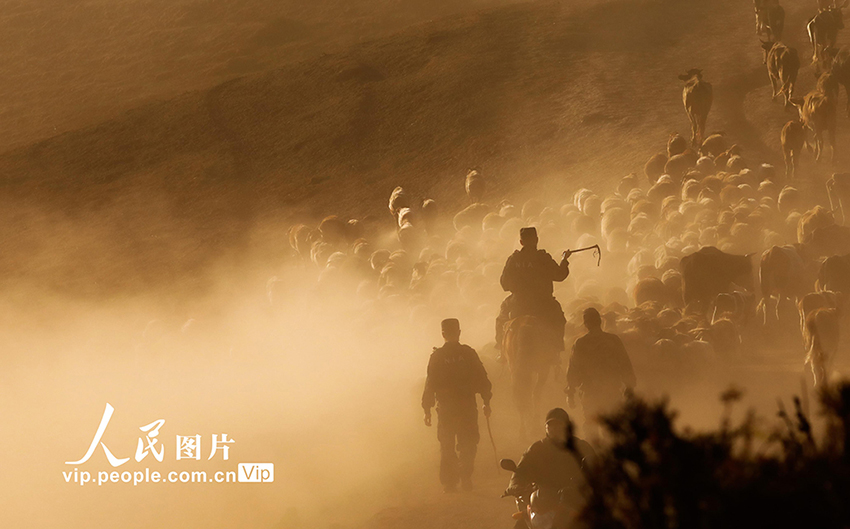 ?????? ????????: ?????? ???? ???? ??????