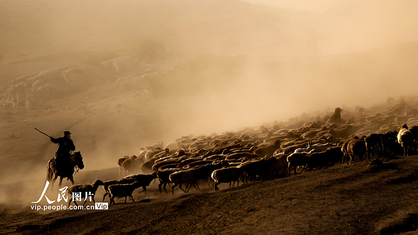 ?????? ????????: ?????? ???? ???? ??????