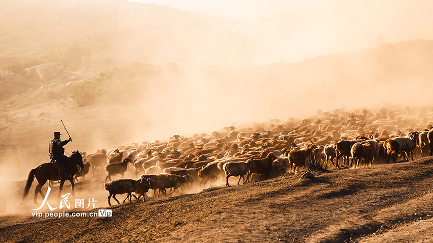 ?????? ????????: ?????? ???? ???? ??????