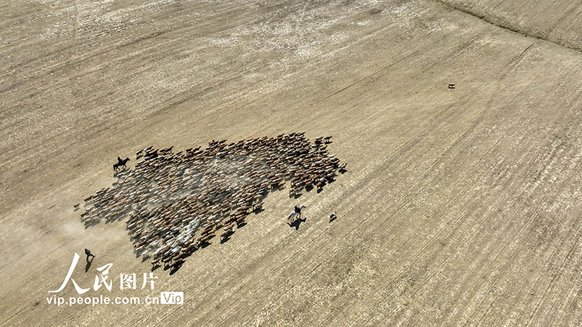 ?????? ????????: ?????? ???? ???? ??????