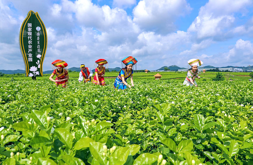 ?????? ???????? ????? ????????