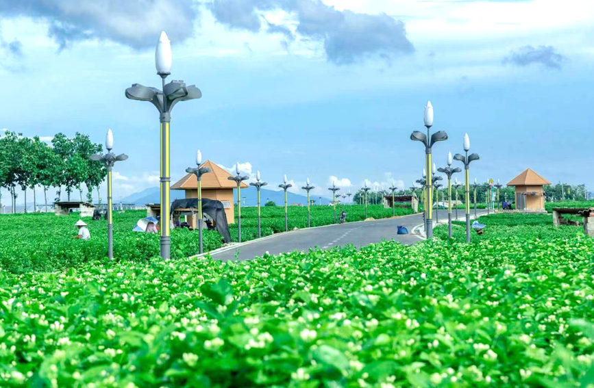 ?????? ???????? ????? ????????