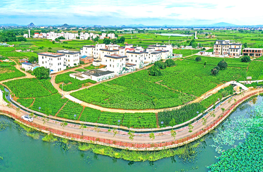 ?????? ???????? ????? ????????