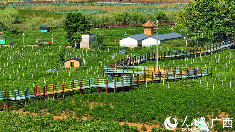 ?????? ?????? ??? 80? ?? ??????? ????? ???????? ?? ?????