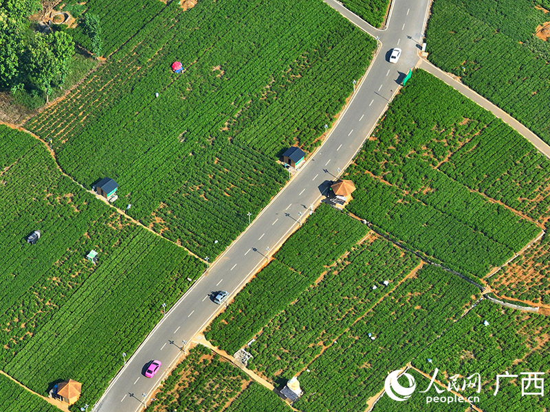 ?????? ?????? ??? 80? ?? ??????? ????? ???????? ?? ?????