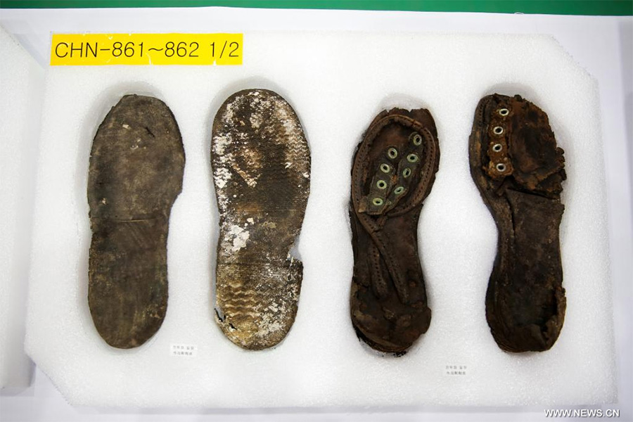 ??? ???? 88 ????? ????? ?????? ?? ????? ??????? ?? ???? ?????? ????????