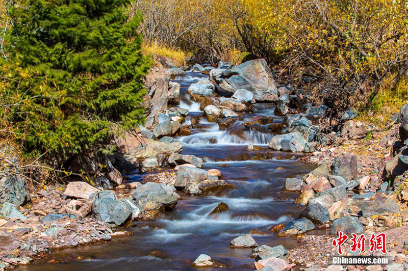 ???? ?????? ?? ???????? ??????? ???? ????? ???? ??? ?? ?????