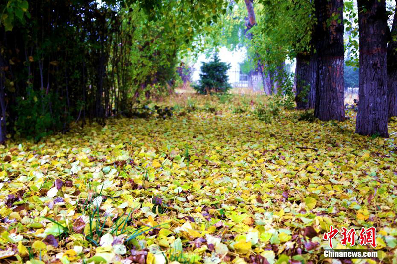 ???? ?????? ?? ???????? ??????? ???? ????? ???? ??? ?? ?????