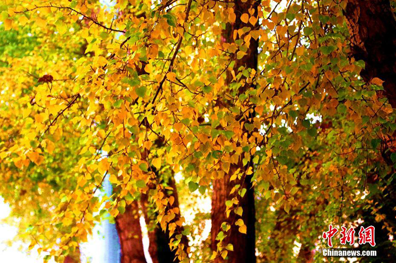 ???? ?????? ?? ???????? ??????? ???? ????? ???? ??? ?? ?????