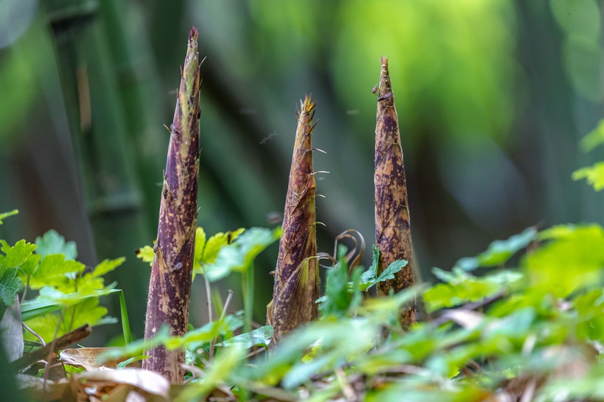 ???????? ??????????? ???? ????? ???? ????? ????????