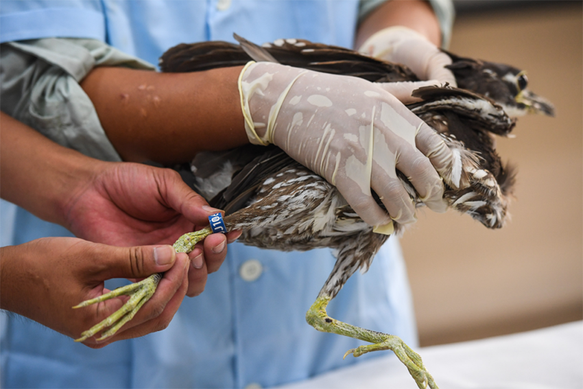 ?????????: ?????? ?????? ???? ?????? ??? ??????