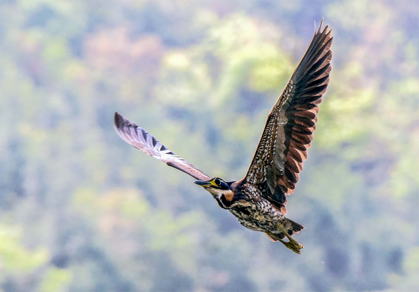 ?????????: ?????? ?????? ???? ?????? ??? ??????