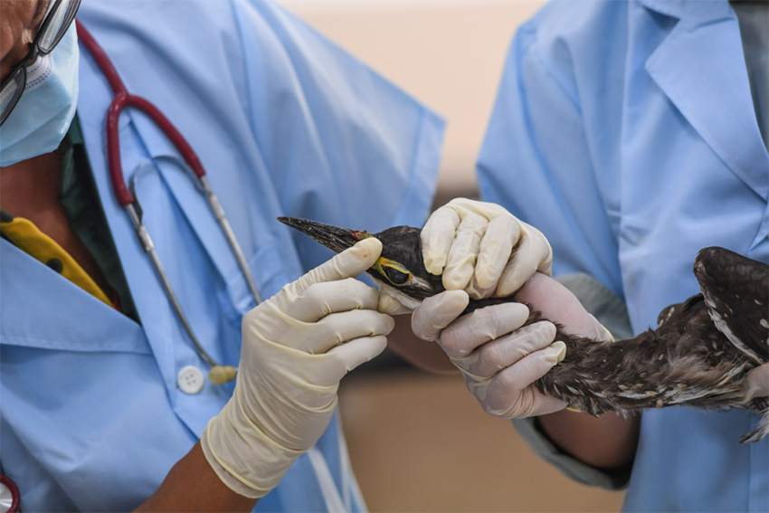 ?????????: ?????? ?????? ???? ?????? ??? ??????