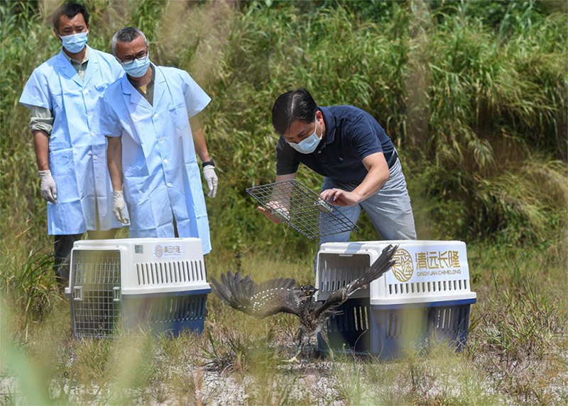 ?????????: ?????? ?????? ???? ?????? ??? ??????