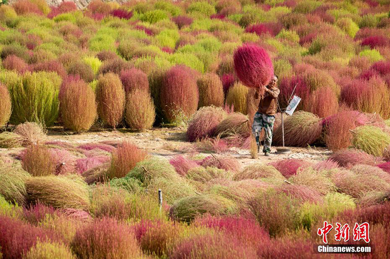 ?????? ?????? ??????: 