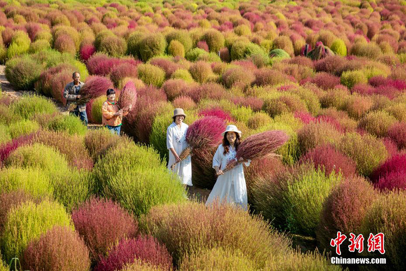 ?????? ?????? ??????: 