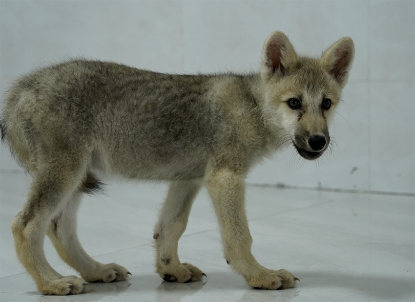 ??????? ?? ????????? ??? ????? ??????? ???? ???? ?? ?????? ???? ??????