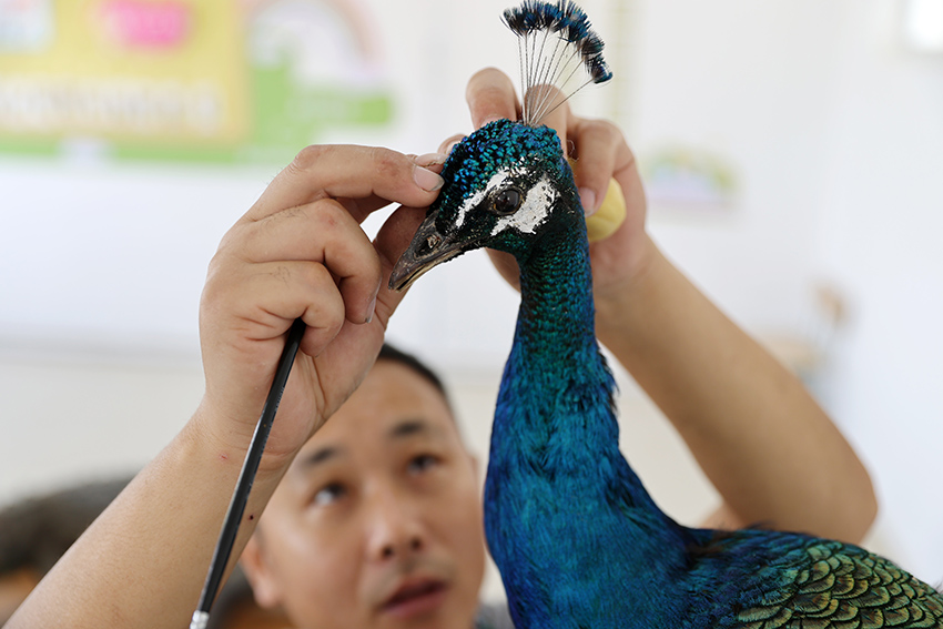 ??? ???? ???? ?????? ????????? ??????? ?????? ?????? ???????