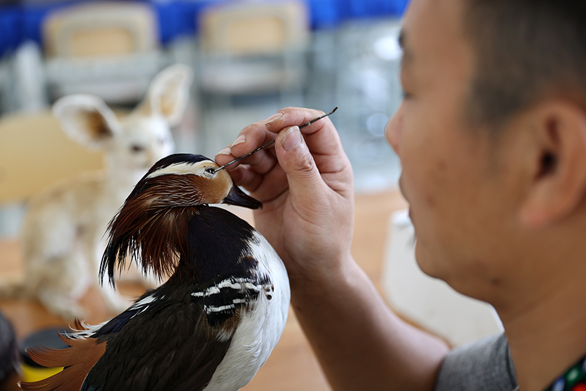 ??? ???? ???? ?????? ????????? ??????? ?????? ?????? ???????