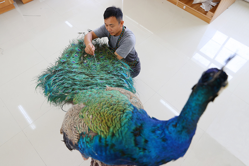 ??? ???? ???? ?????? ????????? ??????? ?????? ?????? ???????