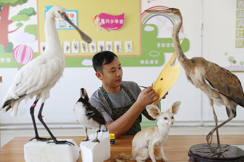 ??? ???? ???? ?????? ????????? ??????? ?????? ?????? ???????