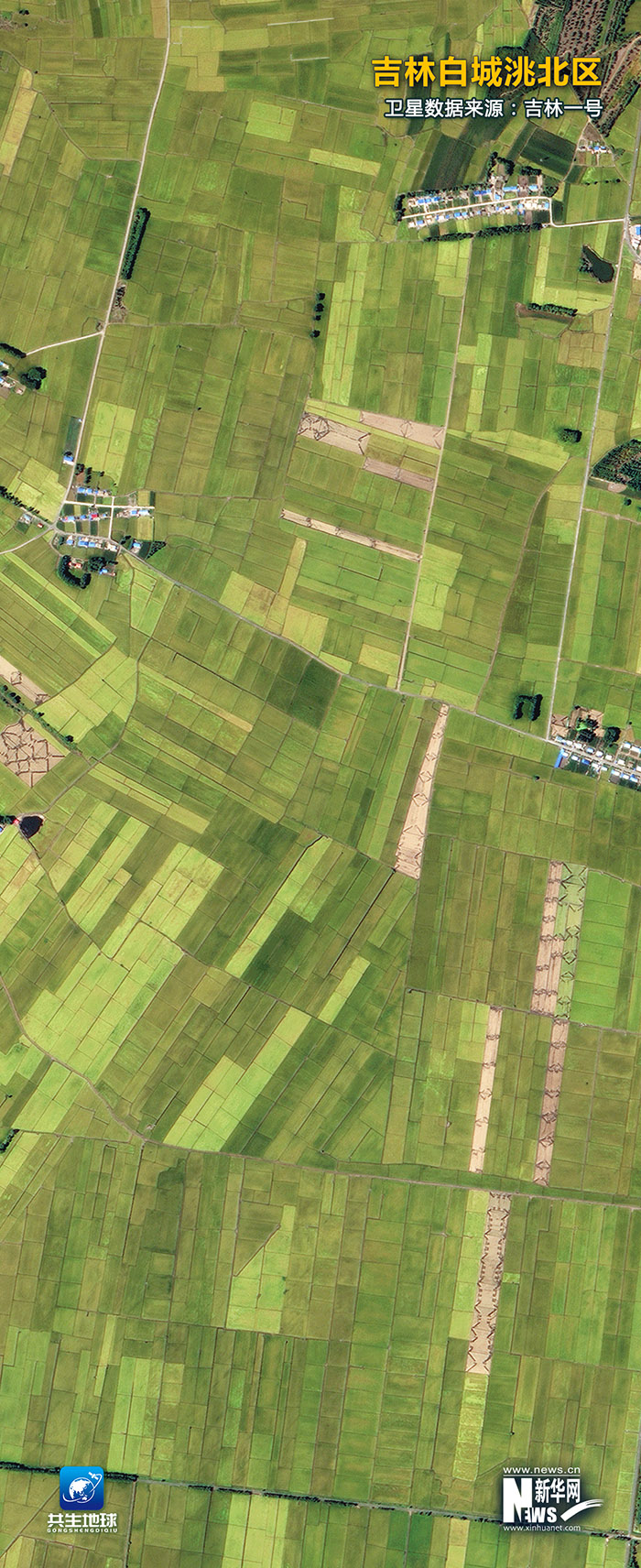 ??? ????? ????? ???????: ???? ???? ?????? ???????? ??????? ?? ??? ??????