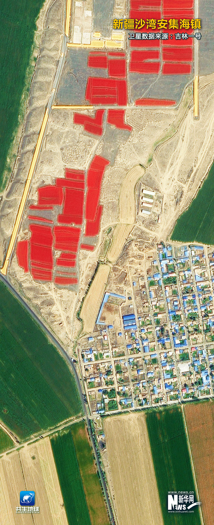 ??? ????? ????? ???????: ???? ???? ?????? ???????? ??????? ?? ??? ??????