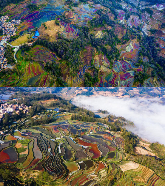 ??? ????? ????? ???????: ???? ???? ?????? ???????? ??????? ?? ??? ??????