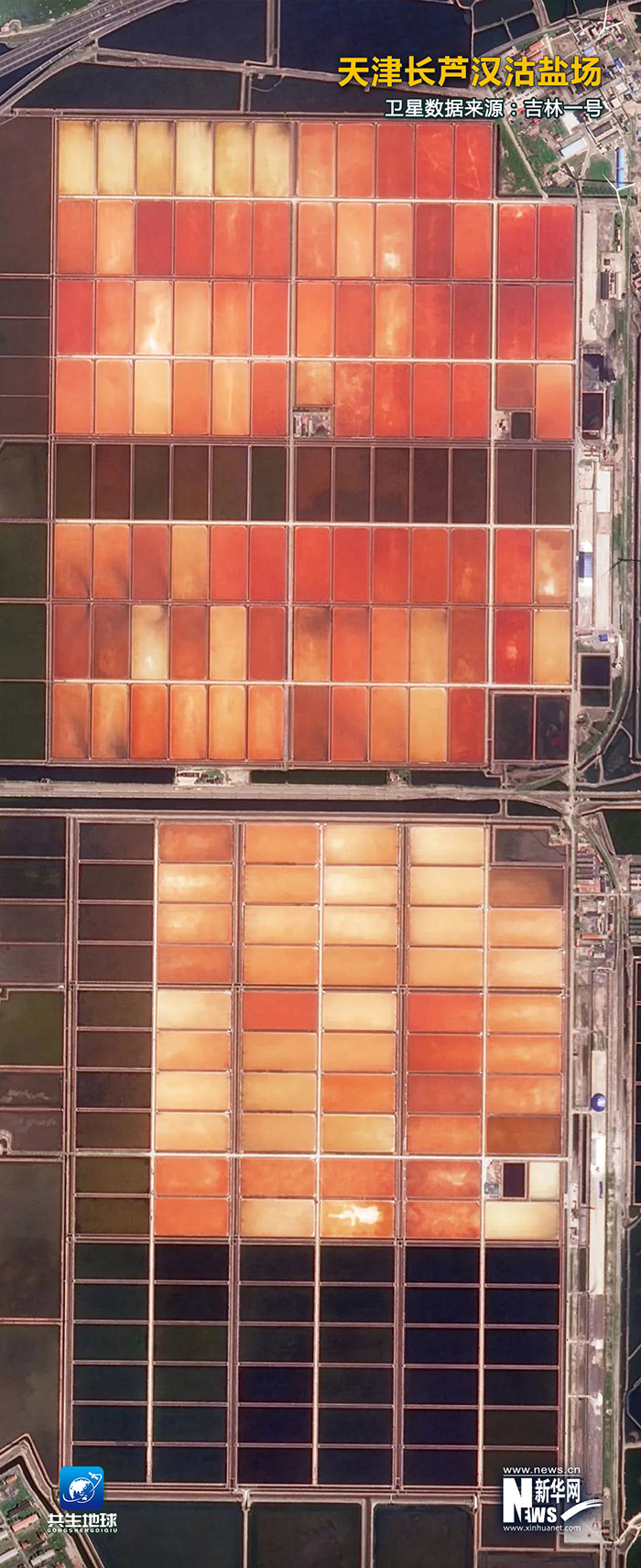 ??? ????? ????? ???????: ???? ???? ?????? ???????? ??????? ?? ??? ??????