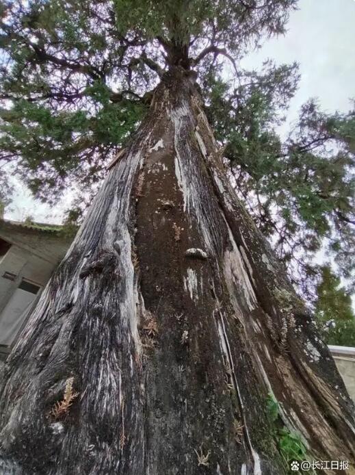 ??????? ?? ????? ..  5 ????? ???? ??????? ?? 5 ???? ??? ?? ????