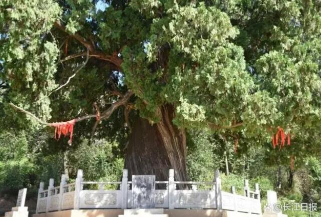 ??????? ?? ????? ..  5 ????? ???? ??????? ?? 5 ???? ??? ?? ????