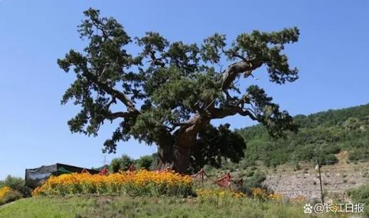 ??????? ?? ????? ..  5 ????? ???? ??????? ?? 5 ???? ??? ?? ????