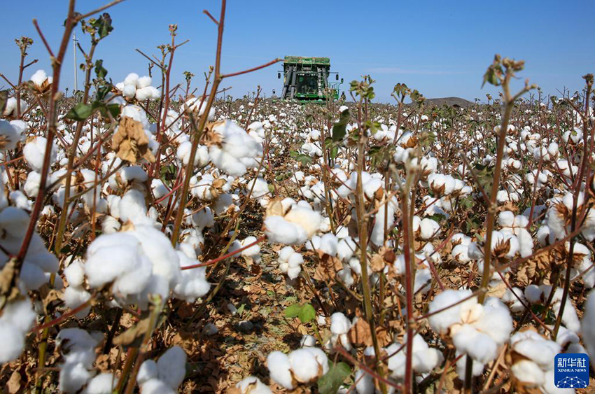 ???????? ???? ???? ???? ?????