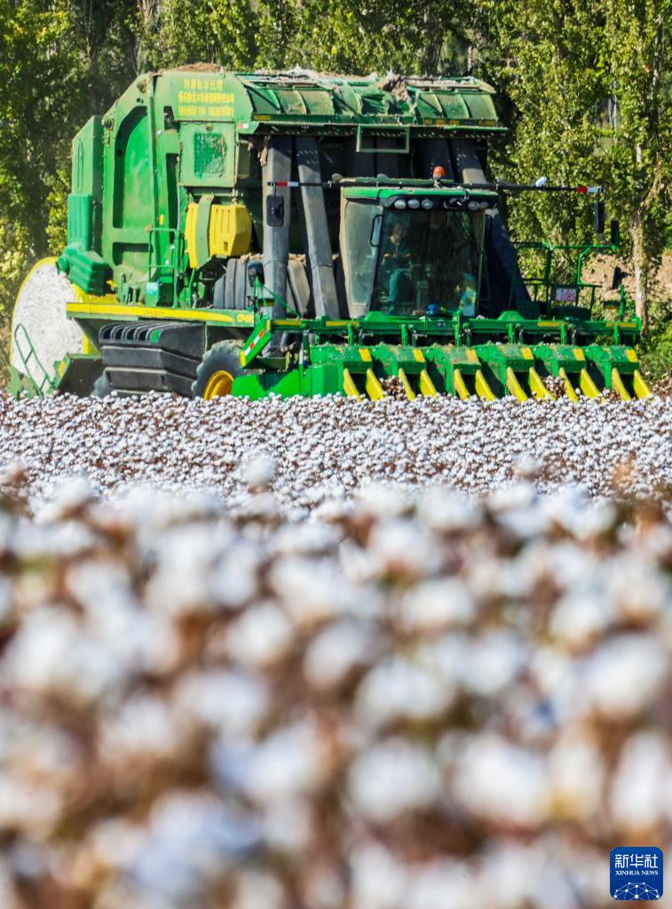 ???????? ???? ???? ???? ?????