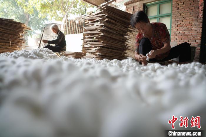 ??? ???? ???? ???? ?????? ?? ????? ???? ???? ?? ???