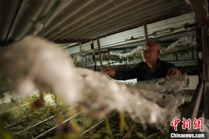 ??? ???? ???? ???? ?????? ?? ????? ???? ???? ?? ???