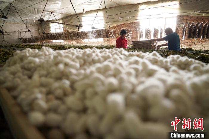 ??? ???? ???? ???? ?????? ?? ????? ???? ???? ?? ???