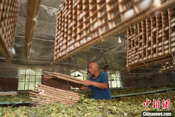 ??? ???? ???? ???? ?????? ?? ????? ???? ???? ?? ???