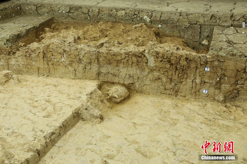 ?????? ????? ????? ???? ??? ?? ??? ????? ??? ??????? ???? ???????