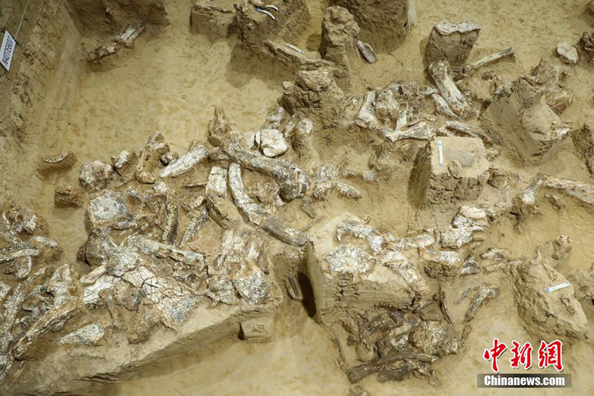 ?????? ????? ????? ???? ??? ?? ??? ????? ??? ??????? ???? ???????