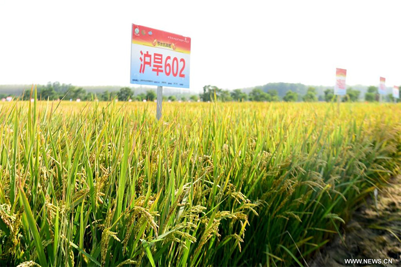 ????? ?????? ?????? ???????? ?????? ???? ?????? ?????? ????? ???????? ???????