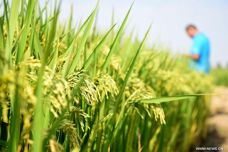 ????? ?????? ?????? ???????? ?????? ???? ?????? ?????? ????? ???????? ???????