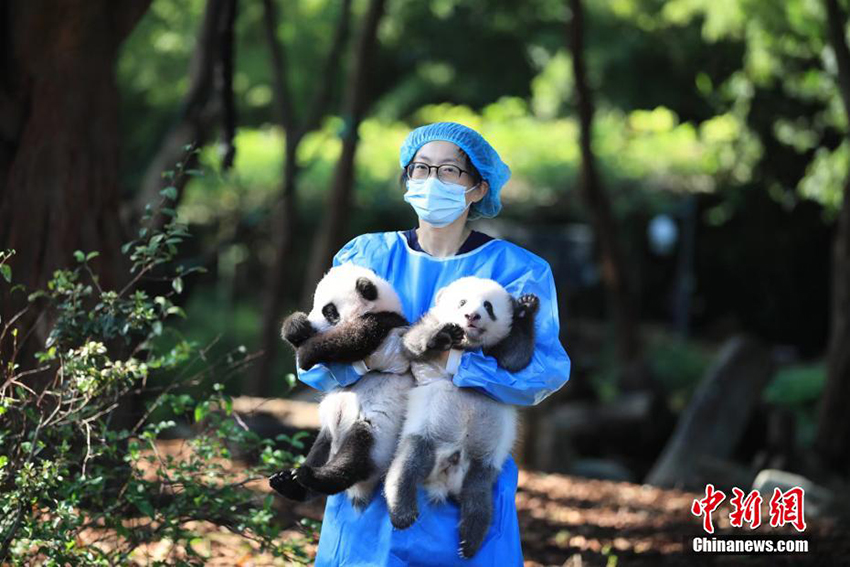 ???? ??? ??? ?????.. ??? ???? ????? ??????? ???????? ????? ??????? ?? ?????? ?? ??????