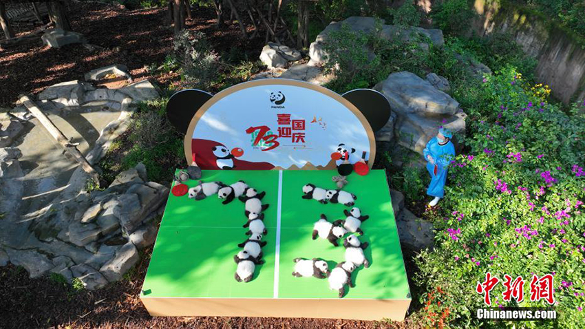 ???? ??? ??? ?????.. ??? ???? ????? ??????? ???????? ????? ??????? ?? ?????? ?? ??????