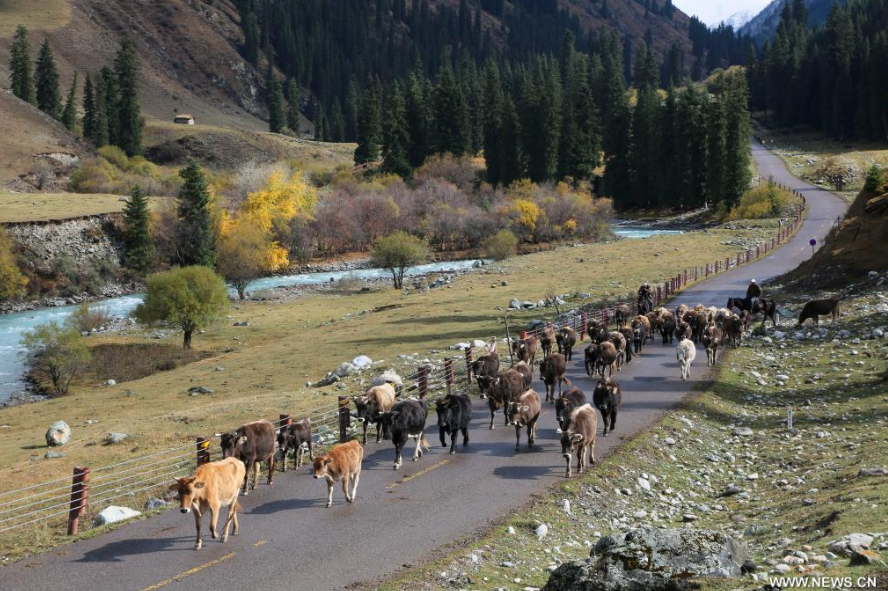 ??? ??????? ?? ??????? ??????? ??? ?????? ?? ????? ???????? ???????