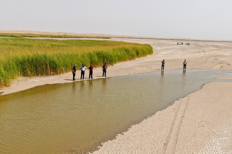  ??? ????? ... ??? ???? ???? ?? ??????? ????? ???? ?????