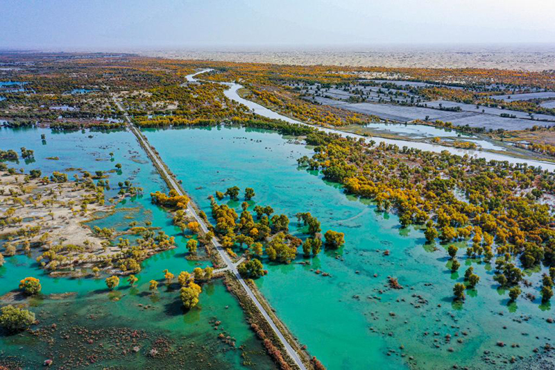  ??? ????? ... ??? ???? ???? ?? ??????? ????? ???? ?????