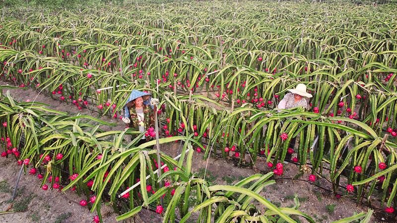 ??????? .. ???? ?????? ????? ??????? ?? ????? 