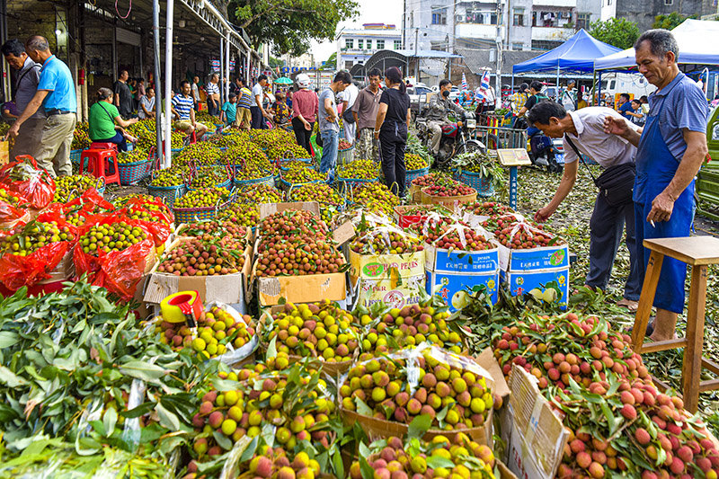 ??????? .. ???? ?????? ????? ??????? ?? ????? 